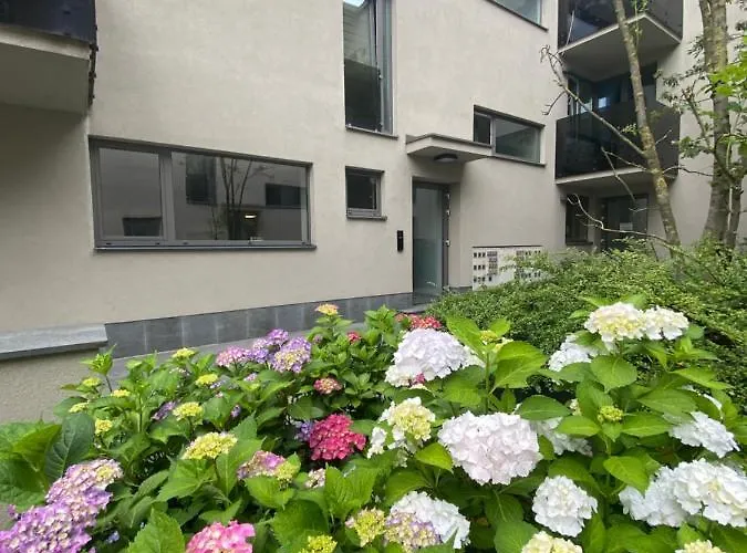 Apartmán Central Park Kluž